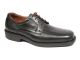 ZAPATO CAVATINI ACORDONADO